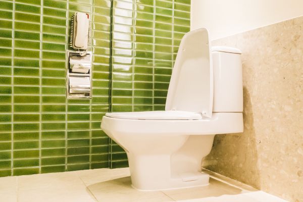 Desentupidora de vaso